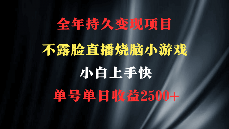 2024年 最优项目烧脑小游戏不露脸直播 小白上手快 无门槛 一天收益2500+-猎天资源库