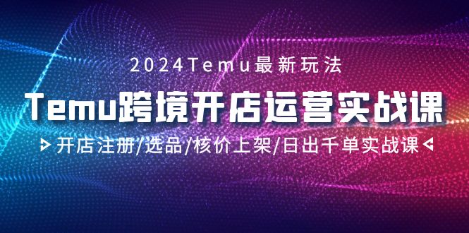 2024年Temu跨境开店运营实战教程，开店注册/选品/核价上架/日出千单实战课-猎天资源库