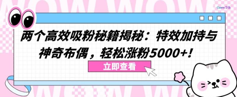 教你两个高效吸粉秘籍：特效加持与神奇布偶，轻松涨粉5000+【揭秘】-猎天资源库