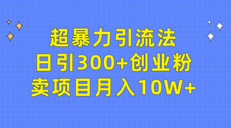 轻松超暴力引流法，日引300+创业粉，卖项目月入10W+-猎天资源库