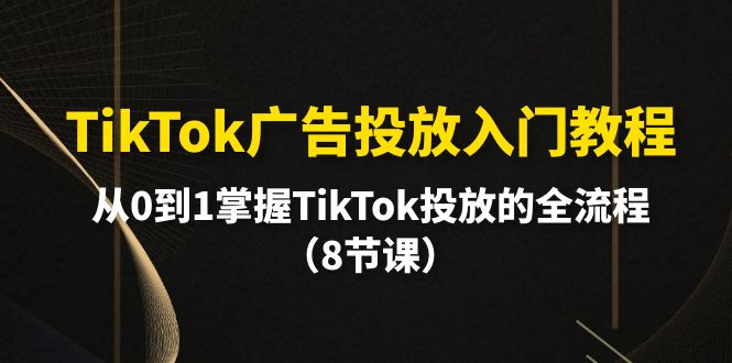 TikTok广告投放入门教程，从0到1掌握TikTok投放的全流程（8节课）-猎天资源库