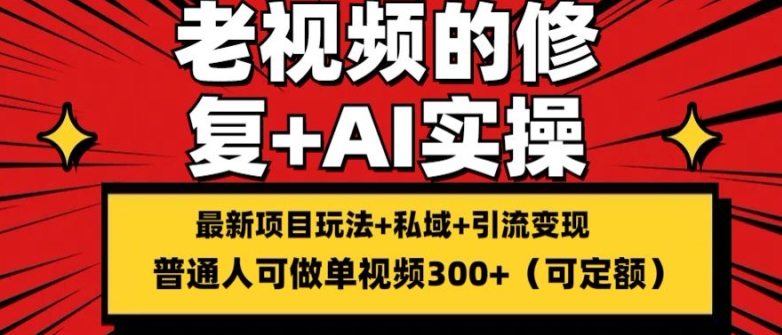 修复老视频的玩法，搬砖+引流的变现(可持久)，单条收益300+【揭秘】-猎天资源库