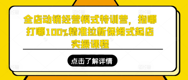 全店动销经营模式特训营，指哪打哪100%精准拉新保姆式起店实操课程-猎天资源库