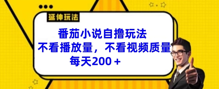 番茄小说自撸玩法，不看播放量，不看视频质量，每天200+【揭秘】-猎天资源库