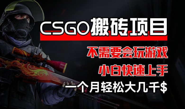 CSGO 装备搬砖项目，操作简单，不需要会玩游戏，小白也能快速上手，一个月轻松大几千【揭秘】-猎天资源库