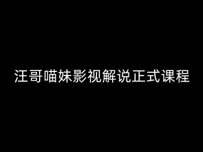 汪哥影视解说正式课程：剪映/PR教学/视解说剪辑5大黄金法则/全流程剪辑7把利器等等-猎天资源库