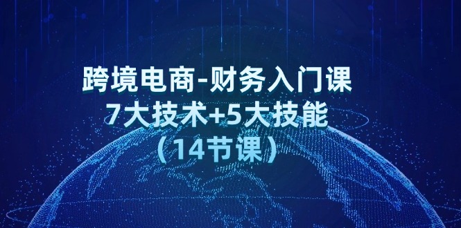 跨境电商-财务入门课：7大技术+5大技能（14节课）-猎天资源库