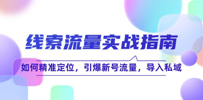 线 索 流 量-实战指南：如何精准定位，引爆新号流量，导入私域-猎天资源库