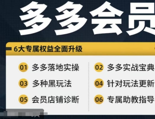 拼多多会员，拼多多实战宝典+实战落地实操，从新手到高阶内容全面覆盖-猎天资源库