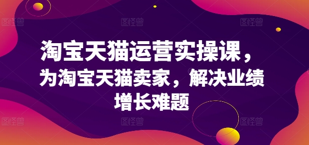 淘宝天猫运营实操课，为淘宝天猫卖家，解决业绩增长难题-猎天资源库