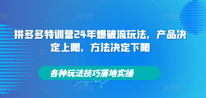 拼多多特训营24年爆破流玩法，产品决定上限，方法决定下限，各种玩法技巧落地实操-猎天资源库