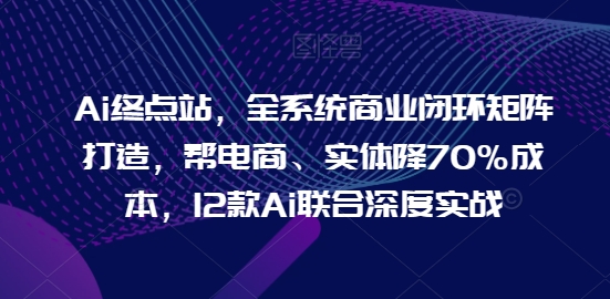 AI终点站，全系统商业闭环矩阵打造，帮电商、实体降70%成本，12款AI联合深度实战【0906更新】-猎天资源库