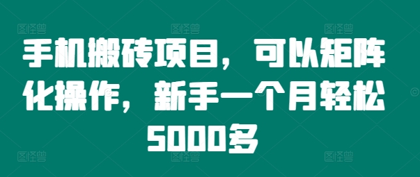 手机搬砖项目，可以矩阵化操作，新手一个月轻松5000多-猎天资源库