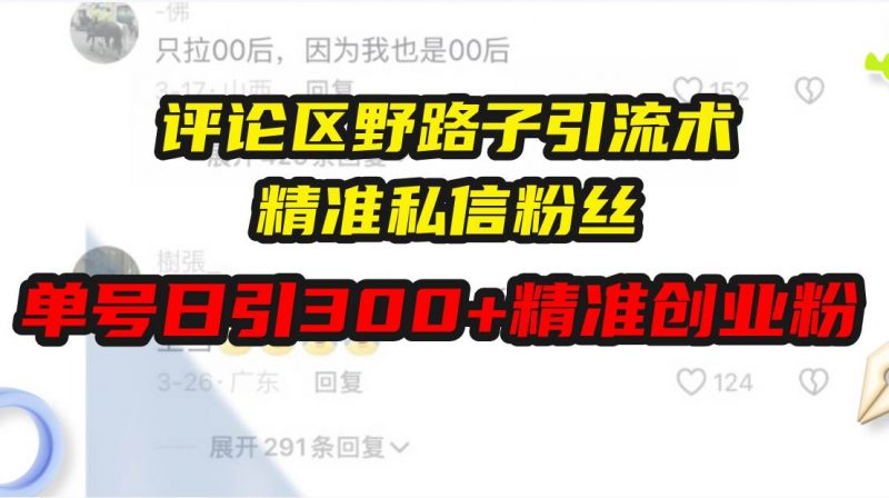 评论区野路子引流术，精准私信粉丝，单号日引流300+精准创业粉-猎天资源库