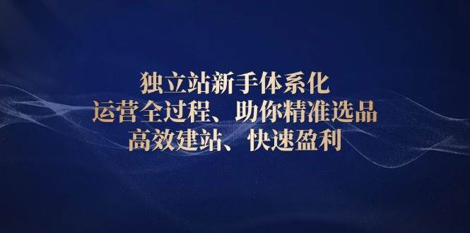 独立站新手体系化 运营全过程，助你精准选品、高效建站、快速盈利-猎天资源库