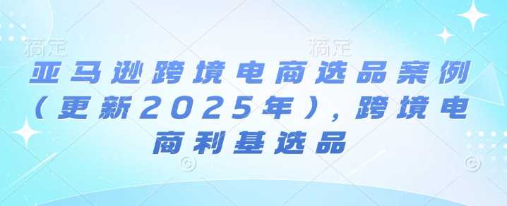 亚马逊跨境电商选品案例(更新2025年)，跨境电商利基选品-猎天资源库