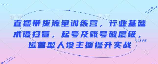 直播带货流量训练营，行业基础术语扫盲，起号及账号破层级，运营型人设主播提升实战-猎天资源库