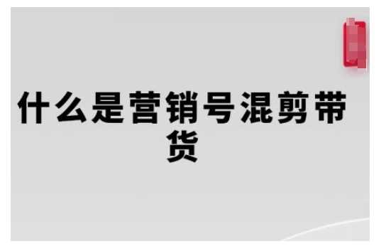 营销号混剪带货，从内容创作到流量变现的全流程，教你用营销号形式做混剪带货-猎天资源库