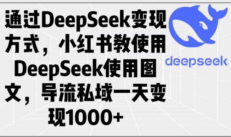 通过DeepSeek变现方式，小红书教使用DeepSeek图文，导流私域一天变现1000+-猎天资源库