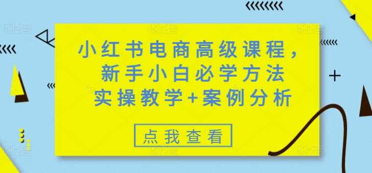 小红书电商高级课程，新手小白必学方法，实操教学+案例分析-猎天资源库