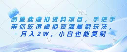 闲鱼卖虚拟资料项目，手把手带你吃透虚拟资源暴利玩法，月入2W，小白也能复制-猎天资源库